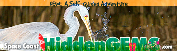 Space Coast Hidden Gems Digital Billboard Creative campaign sample 4