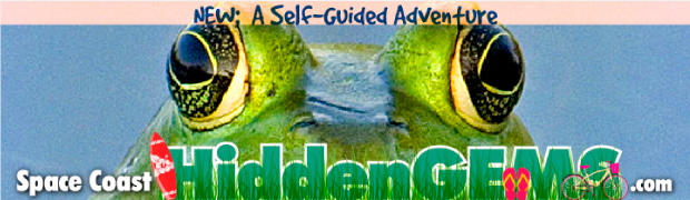 Space Coast Hidden Gems Digital Billboard Creative campaign sample 6