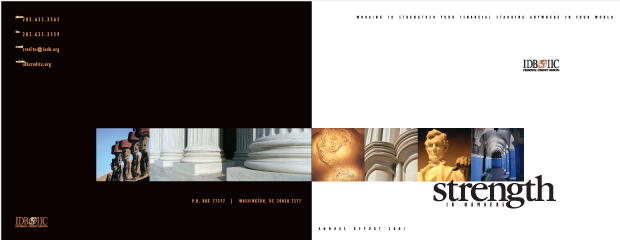 Annual Report 2001 CD rom Design / Development - IDB IIC Federal Credit Union 