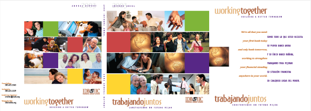 Annual Report CD Rom 2003 Design / Development - IDB IIC Federal Credit Union 